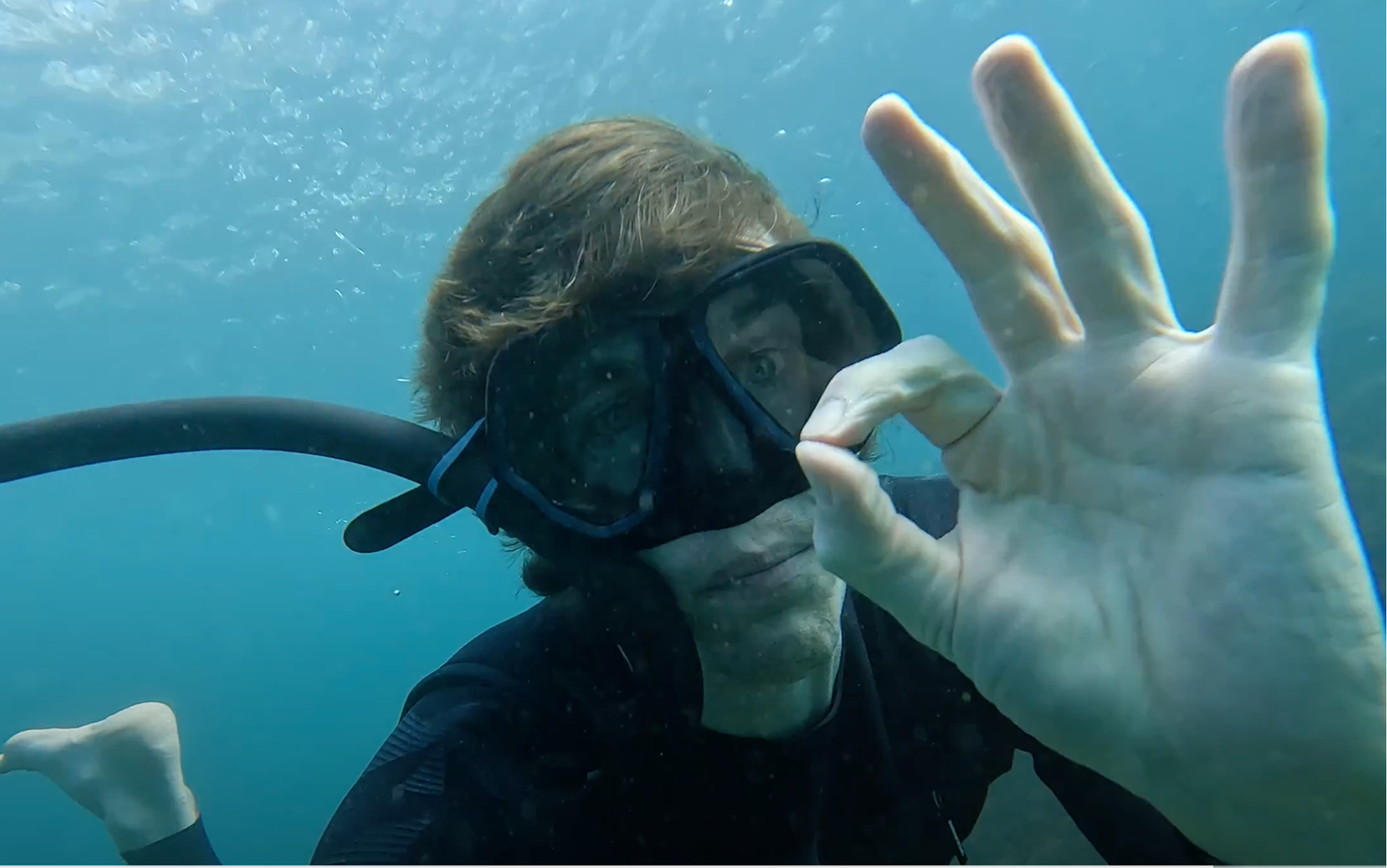 Iberian Orca Cooperative